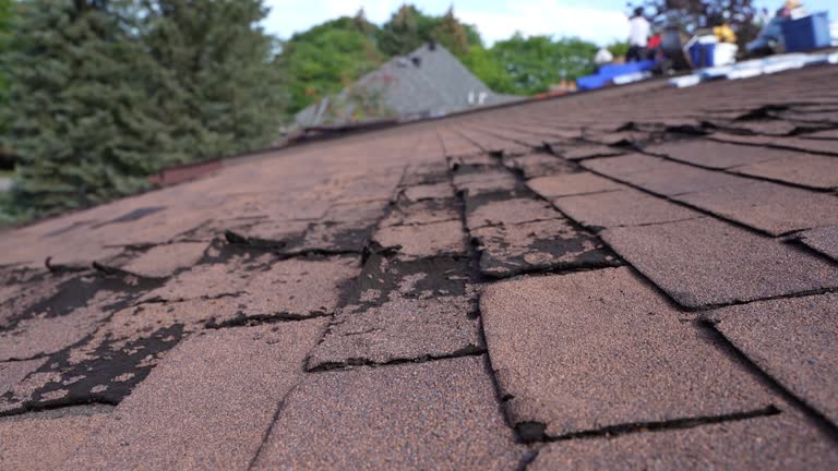 Best Roofing for New Construction  in Fruit Heights, UT