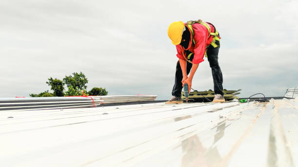 Best Commercial Roofing Services  in Fruit Heights, UT