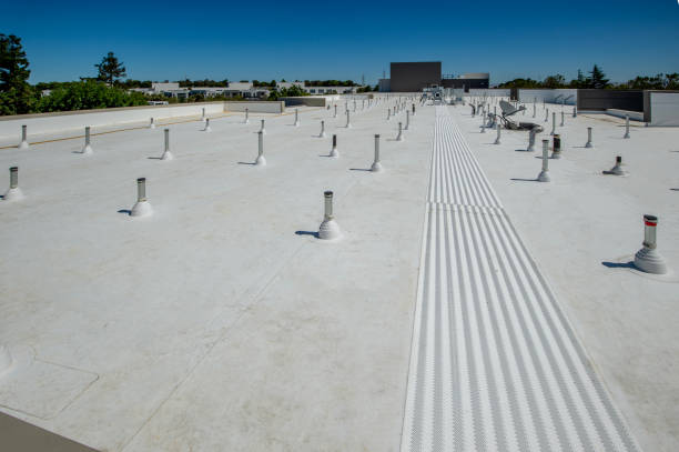 Best Flat Roofing  in Fruit Heights, UT